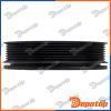 Poulie damper vilebrequin pour RENAULT | RKP-RE-025, 10569
